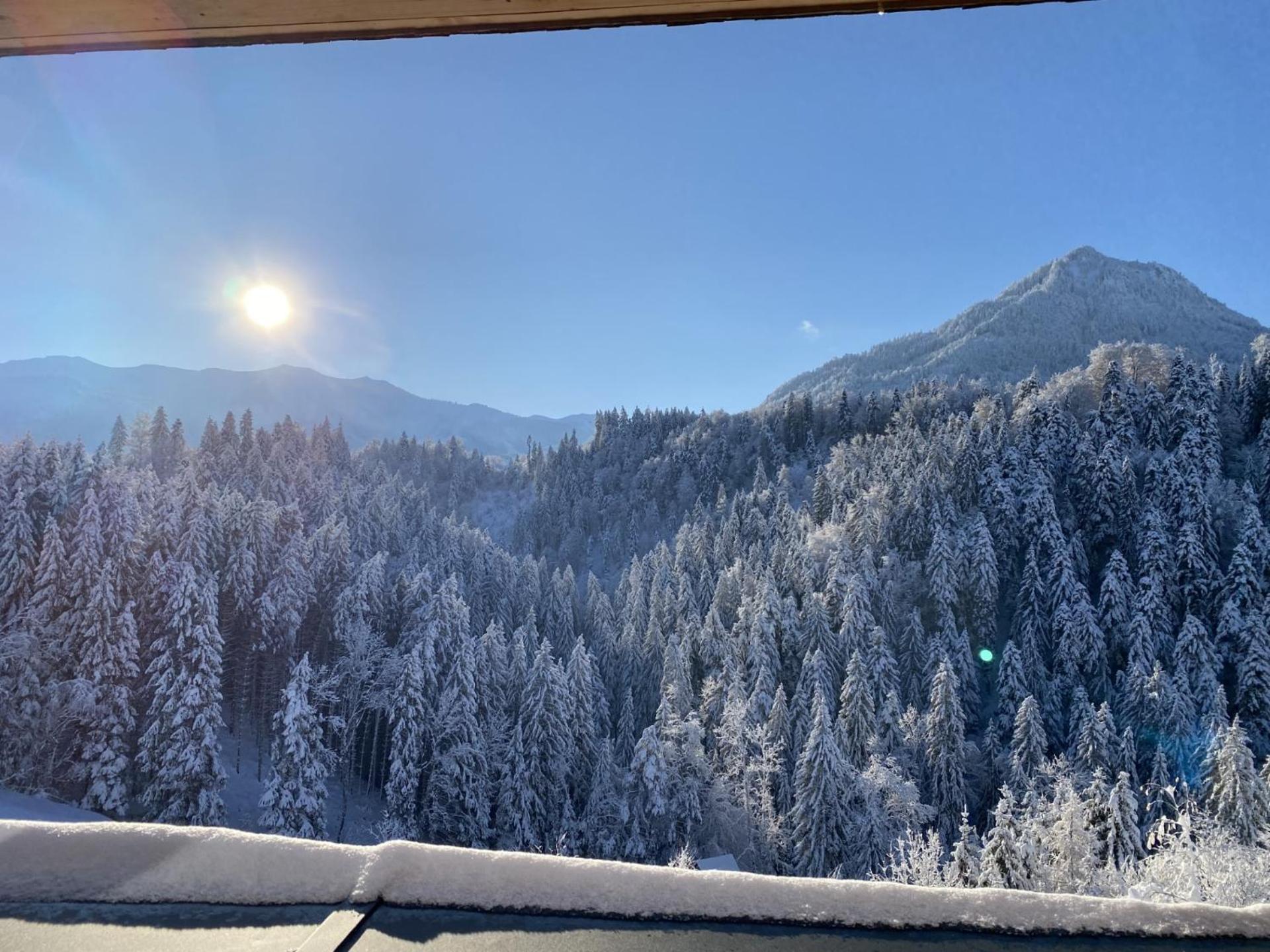 Wohnung Staufenblick Und Wohnung Firstblick Dornbirn Exterior photo